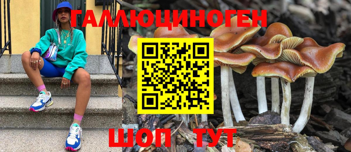 Санкт-Петербург  Галлюциногенные грибы прущие грибы  Вход с VPN 